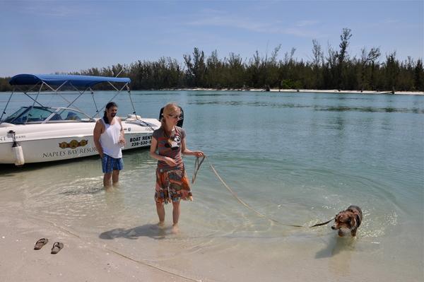 Pet Friendly Beach