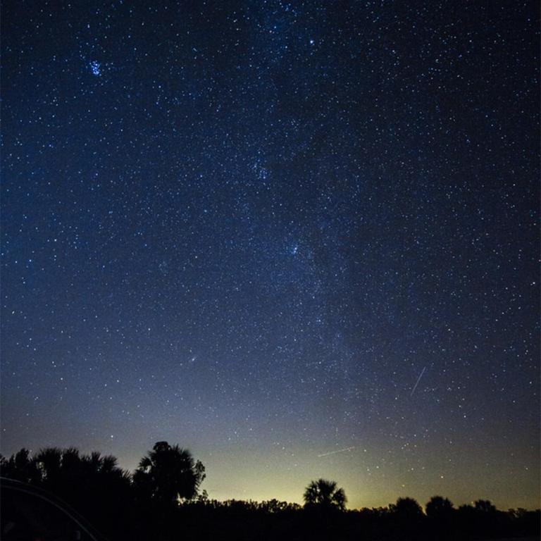 Seagrape Drive, March 2014, Big Cypress National Preserve
