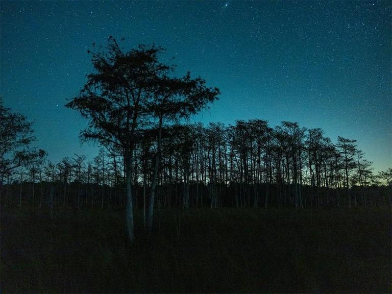 Dark Skies in Big Cypress National Preserve