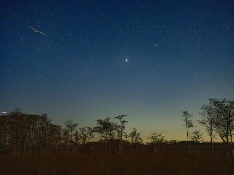 Dark Skies in Big Cypress National Preserve