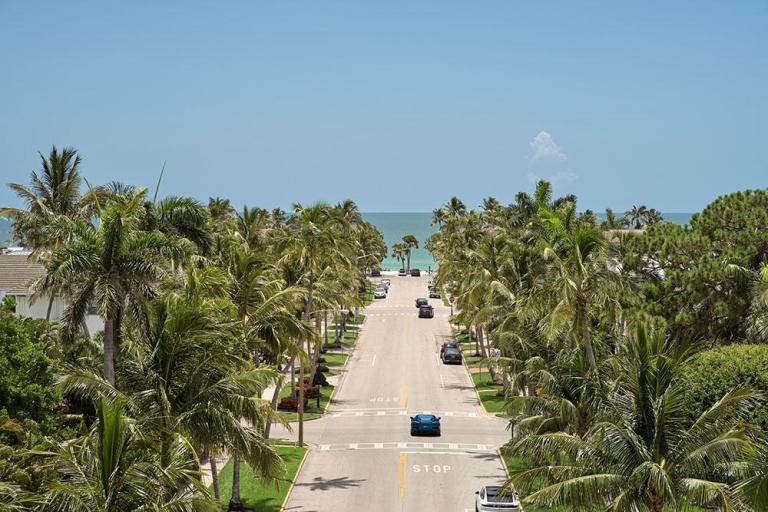 aerial of palm tree lined street and ocean